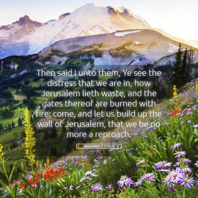 Picture 05 - Nehemiah 2:17 KJV - Then said I unto them, Ye see the distress that - Bible Verse Picture