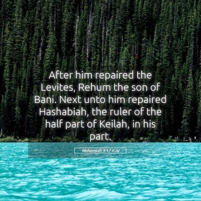 Picture 05 - Nehemiah 3:17 KJV - After him repaired the Levites, Rehum the son of - Bible Verse Picture