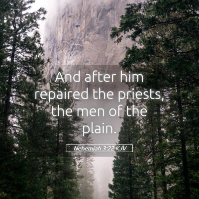 Picture 05 - Nehemiah 3:22 KJV - And after him repaired the priests, the men of - Bible Verse Picture