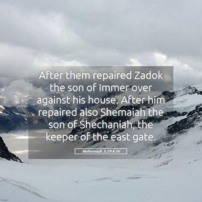 Picture 05 - Nehemiah 3:29 KJV - After them repaired Zadok the son of Immer over - Bible Verse Picture