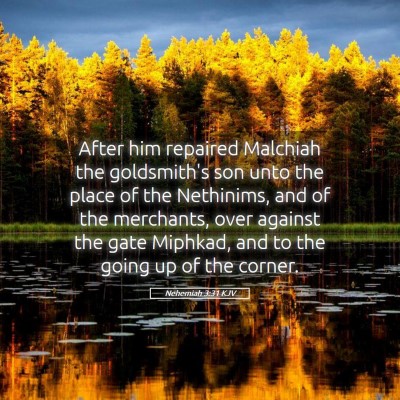 Picture 05 - Nehemiah 3:31 KJV - After him repaired Malchiah the goldsmith's son - Bible Verse Picture