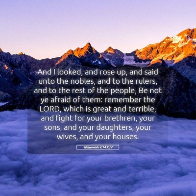 Picture 05 - Nehemiah 4:14 KJV - And I looked, and rose up, and said unto the - Bible Verse Picture