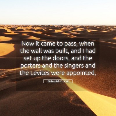 Picture 05 - Nehemiah 7:1 KJV - Now it came to pass, when the wall was built, and - Bible Verse Picture