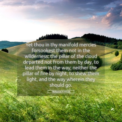 Picture 05 - Nehemiah 9:19 KJV - Yet thou in thy manifold mercies forsookest them - Bible Verse Picture