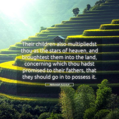 Picture 05 - Nehemiah 9:23 KJV - Their children also multipliedst thou as the - Bible Verse Picture