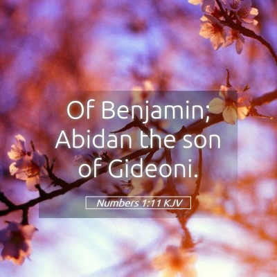 Picture 05 - Numbers 1:11 KJV - Of Benjamin; Abidan the son of - Bible Verse Picture
