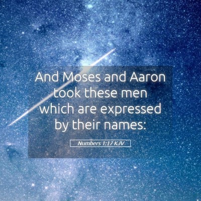 Picture 05 - Numbers 1:17 KJV - And Moses and Aaron took these men which are - Bible Verse Picture