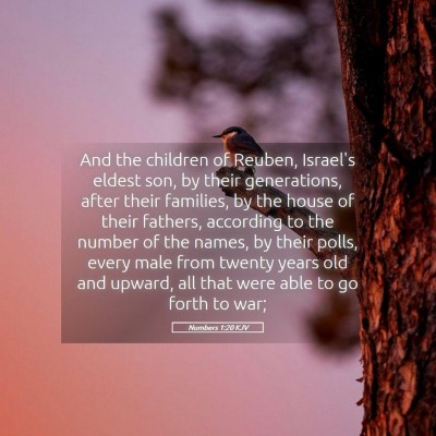 Picture 05 - Numbers 1:20 KJV - And the children of Reuben, Israel's eldest son, - Bible Verse Picture