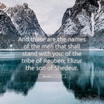 Picture 05 - Numbers 1:5 KJV - And these are the names of the men that shall - Bible Verse Picture