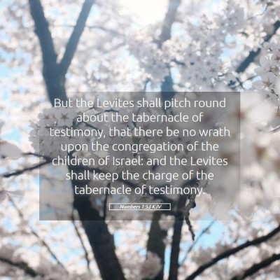Picture 05 - Numbers 1:53 KJV - But the Levites shall pitch round about the - Bible Verse Picture