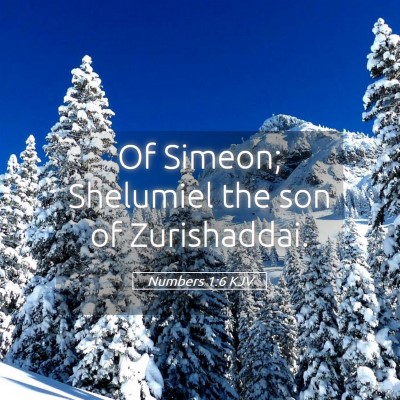 Picture 05 - Numbers 1:6 KJV - Of Simeon; Shelumiel the son of - Bible Verse Picture
