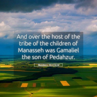 Picture 05 - Numbers 10:23 KJV - And over the host of the tribe of the children of - Bible Verse Picture