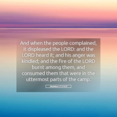 Picture 05 - Numbers 11:1 KJV - And when the people complained, it displeased the - Bible Verse Picture