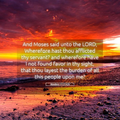 Picture 05 - Numbers 11:11 KJV - And Moses said unto the LORD, Wherefore hast thou - Bible Verse Picture