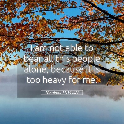 Picture 05 - Numbers 11:14 KJV - I am not able to bear all this people alone, - Bible Verse Picture