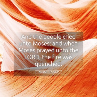 Picture 05 - Numbers 11:2 KJV - And the people cried unto Moses; and when Moses - Bible Verse Picture