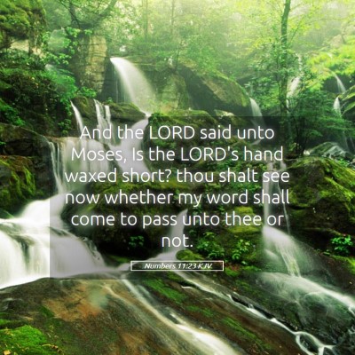 Picture 05 - Numbers 11:23 KJV - And the LORD said unto Moses, Is the LORD's hand - Bible Verse Picture