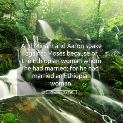Picture 05 - Numbers 12:1 KJV - And Miriam and Aaron spake against Moses because - Bible Verse Picture