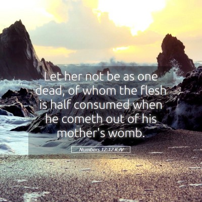 Picture 05 - Numbers 12:12 KJV - Let her not be as one dead, of whom the flesh is - Bible Verse Picture