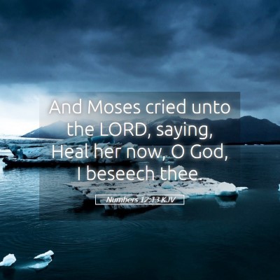 Picture 05 - Numbers 12:13 KJV - And Moses cried unto the LORD, saying, Heal her - Bible Verse Picture