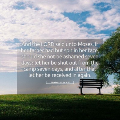 Picture 05 - Numbers 12:14 KJV - And the LORD said unto Moses, If her father had - Bible Verse Picture