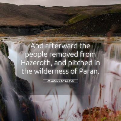Picture 05 - Numbers 12:16 KJV - And afterward the people removed from Hazeroth, - Bible Verse Picture