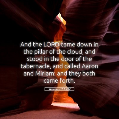 Picture 05 - Numbers 12:5 KJV - And the LORD came down in the pillar of the - Bible Verse Picture