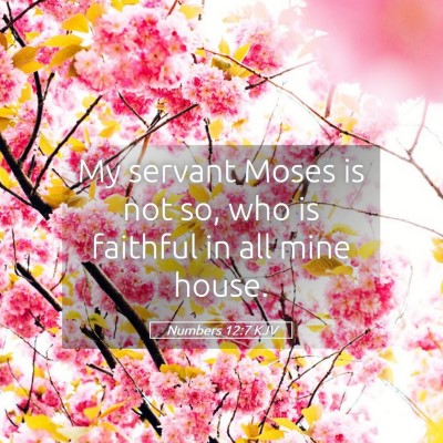 Picture 05 - Numbers 12:7 KJV - My servant Moses is not so, who is faithful in - Bible Verse Picture