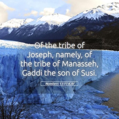 Picture 05 - Numbers 13:11 KJV - Of the tribe of Joseph, namely, of the tribe of - Bible Verse Picture
