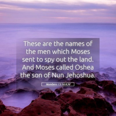 Picture 05 - Numbers 13:16 KJV - These are the names of the men which Moses sent - Bible Verse Picture