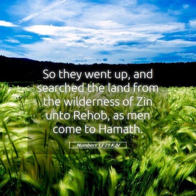 Picture 05 - Numbers 13:21 KJV - So they went up, and searched the land from the - Bible Verse Picture