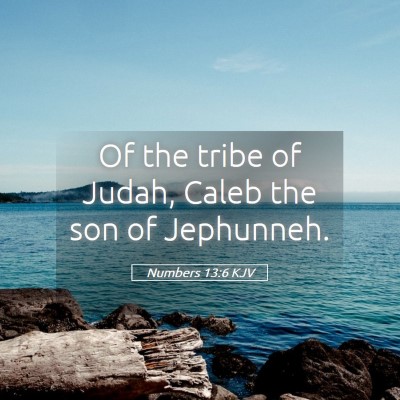 Picture 05 - Numbers 13:6 KJV - Of the tribe of Judah, Caleb the son of - Bible Verse Picture
