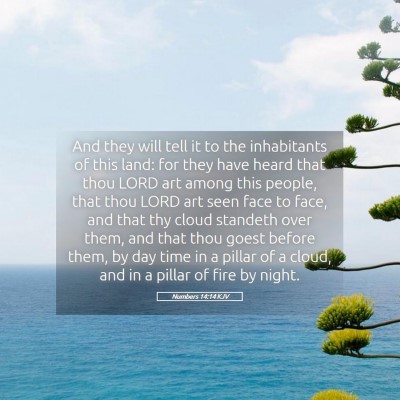 Picture 05 - Numbers 14:14 KJV - And they will tell it to the inhabitants of this - Bible Verse Picture