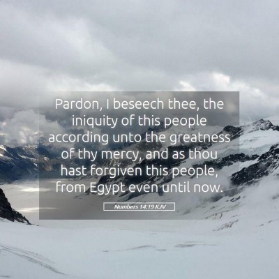 Picture 05 - Numbers 14:19 KJV - Pardon, I beseech thee, the iniquity of this - Bible Verse Picture