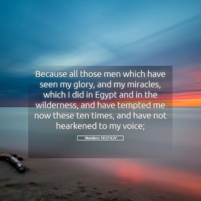 Picture 05 - Numbers 14:22 KJV - Because all those men which have seen my glory, - Bible Verse Picture