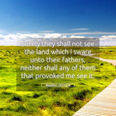 Picture 05 - Numbers 14:23 KJV - Surely they shall not see the land which I sware - Bible Verse Picture