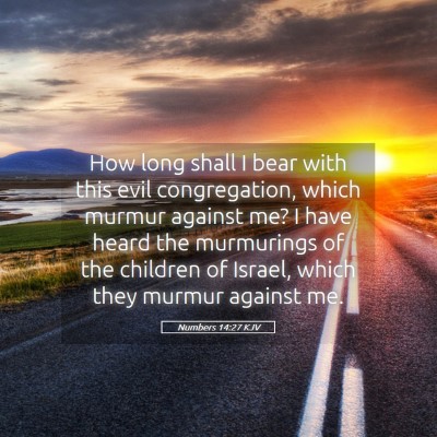 Picture 05 - Numbers 14:27 KJV - How long shall I bear with this evil - Bible Verse Picture
