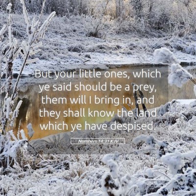 Picture 05 - Numbers 14:31 KJV - But your little ones, which ye said should be a - Bible Verse Picture