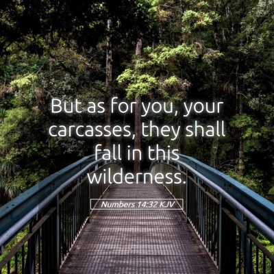 Picture 05 - Numbers 14:32 KJV - But as for you, your carcasses, they shall fall - Bible Verse Picture