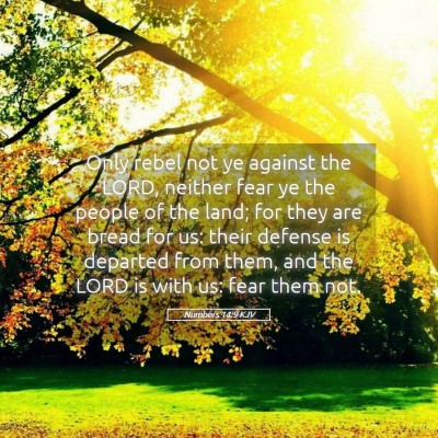 Picture 05 - Numbers 14:9 KJV - Only rebel not ye against the LORD, neither fear - Bible Verse Picture