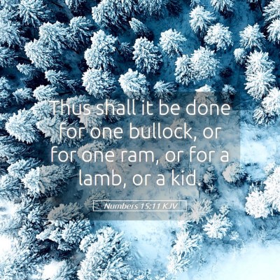 Picture 05 - Numbers 15:11 KJV - Thus shall it be done for one bullock, or for one - Bible Verse Picture