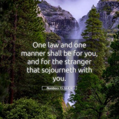 Picture 05 - Numbers 15:16 KJV - One law and one manner shall be for you, and for - Bible Verse Picture