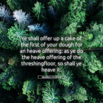 Picture 05 - Numbers 15:20 KJV - Ye shall offer up a cake of the first of your - Bible Verse Picture