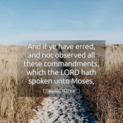 Picture 05 - Numbers 15:22 KJV - And if ye have erred, and not observed all these - Bible Verse Picture