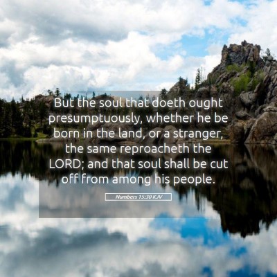 Picture 05 - Numbers 15:30 KJV - But the soul that doeth ought presumptuously, - Bible Verse Picture