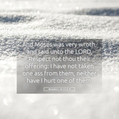 Picture 05 - Numbers 16:15 KJV - And Moses was very wroth, and said unto the LORD, - Bible Verse Picture