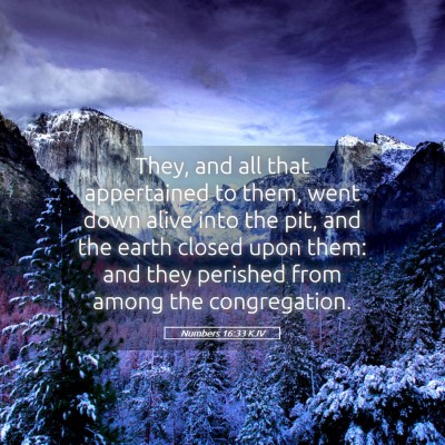 Picture 05 - Numbers 16:33 KJV - They, and all that appertained to them, went down - Bible Verse Picture