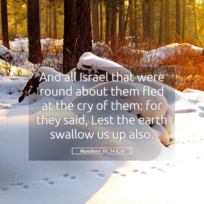 Picture 05 - Numbers 16:34 KJV - And all Israel that were round about them fled at - Bible Verse Picture
