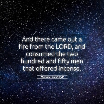Picture 05 - Numbers 16:35 KJV - And there came out a fire from the LORD, and - Bible Verse Picture