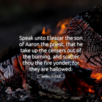Picture 05 - Numbers 16:37 KJV - Speak unto Eleazar the son of Aaron the priest, - Bible Verse Picture